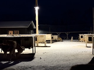 Kennels at Green Dog